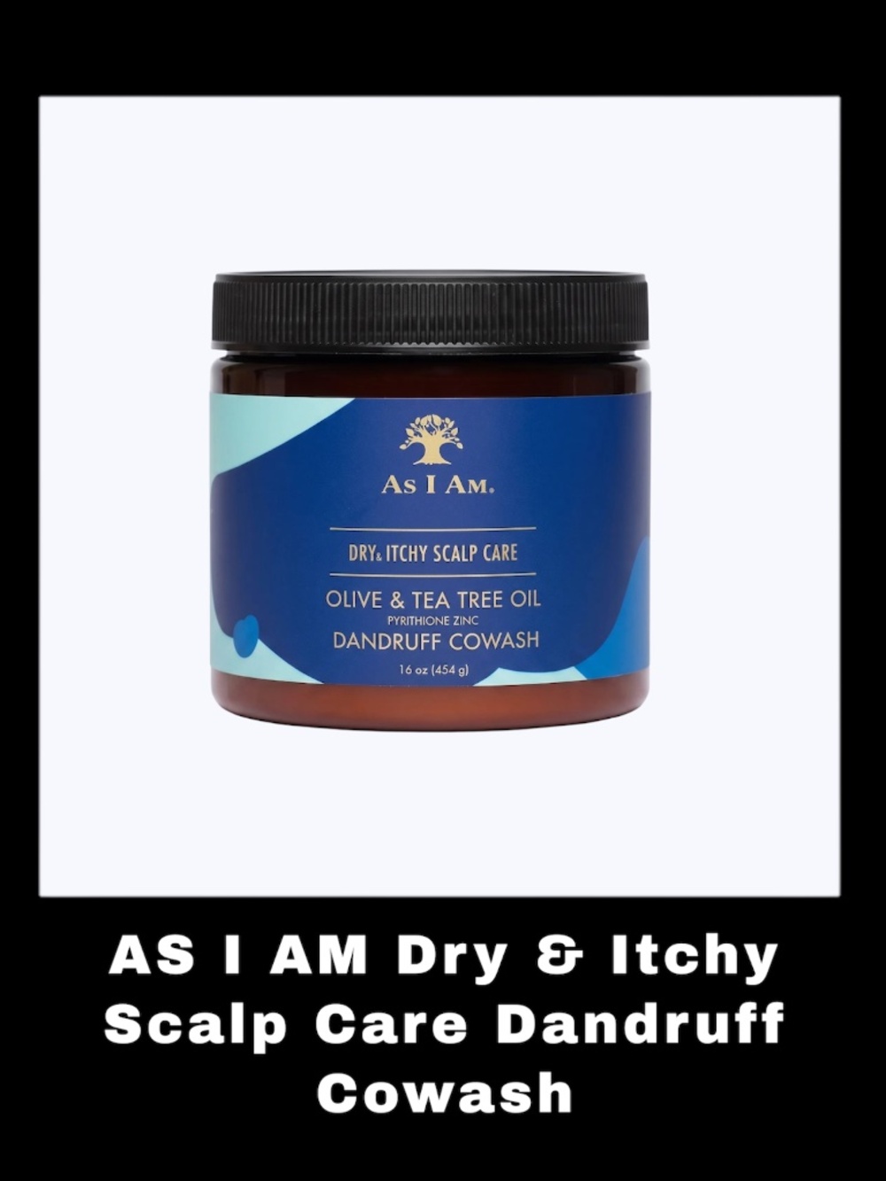 AS I AM Dry & Itchy Scalp Care 16.0 Ounces Dandruff Cowash